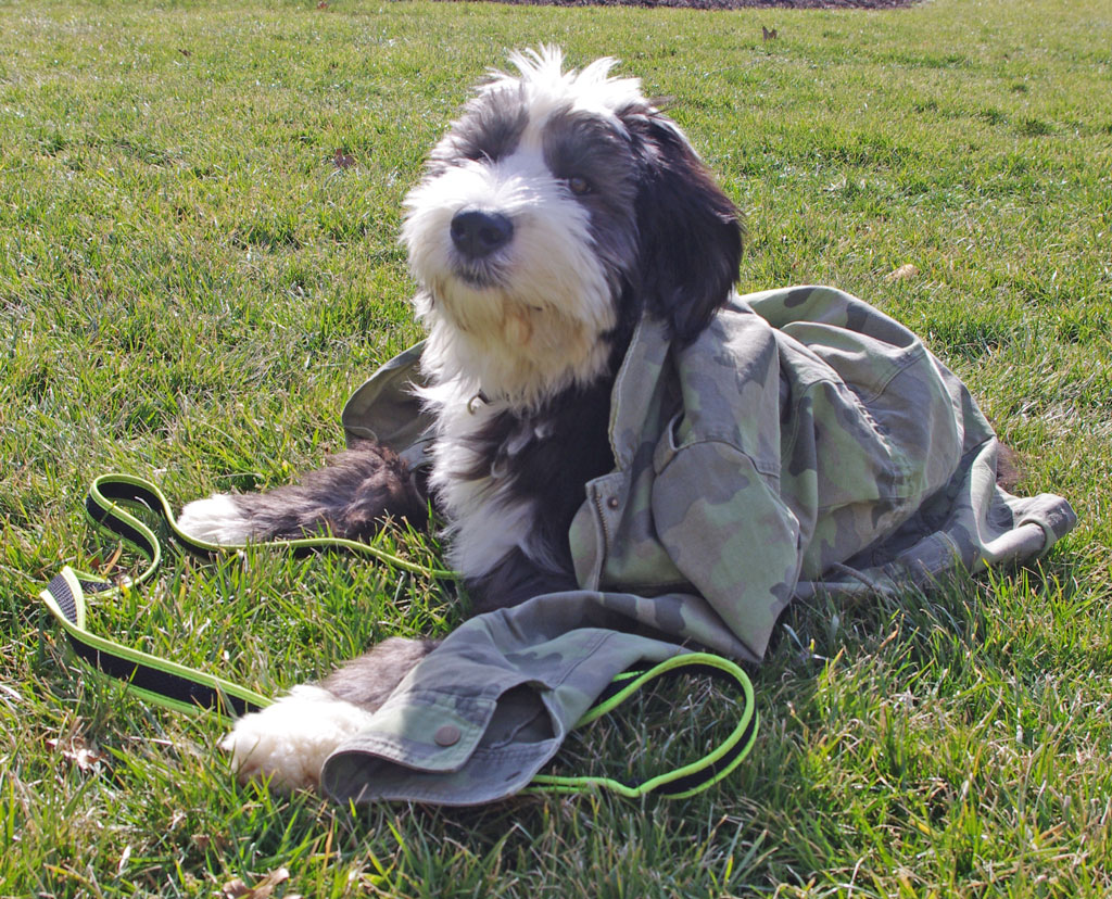 camo_jacket